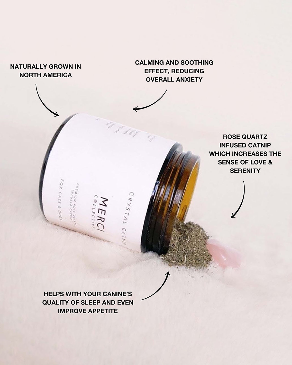 CATNIP מרובע קריסטל לחתולים וכלבים | קטניפ מועשר בקריסטלים לכלבים וחתולים