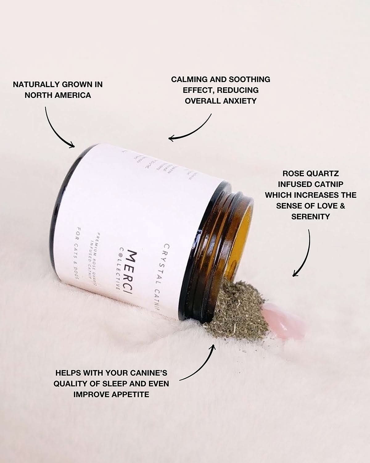 CRYSTAL INFUSED CATNIP FOR CATS & DOGS | קטניפ מועשר בקריסטלים לכלבים וחתולים