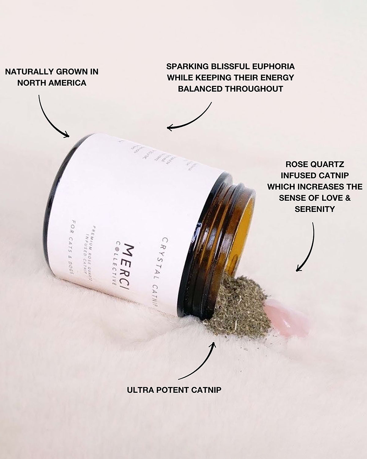 CATNIP מרובע קריסטל לחתולים וכלבים | קטניפ מועשר בקריסטלים לכלבים וחתולים