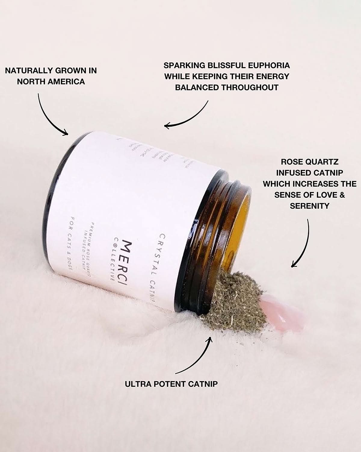 CRYSTAL INFUSED CATNIP FOR CATS & DOGS | קטניפ מועשר בקריסטלים לכלבים וחתולים