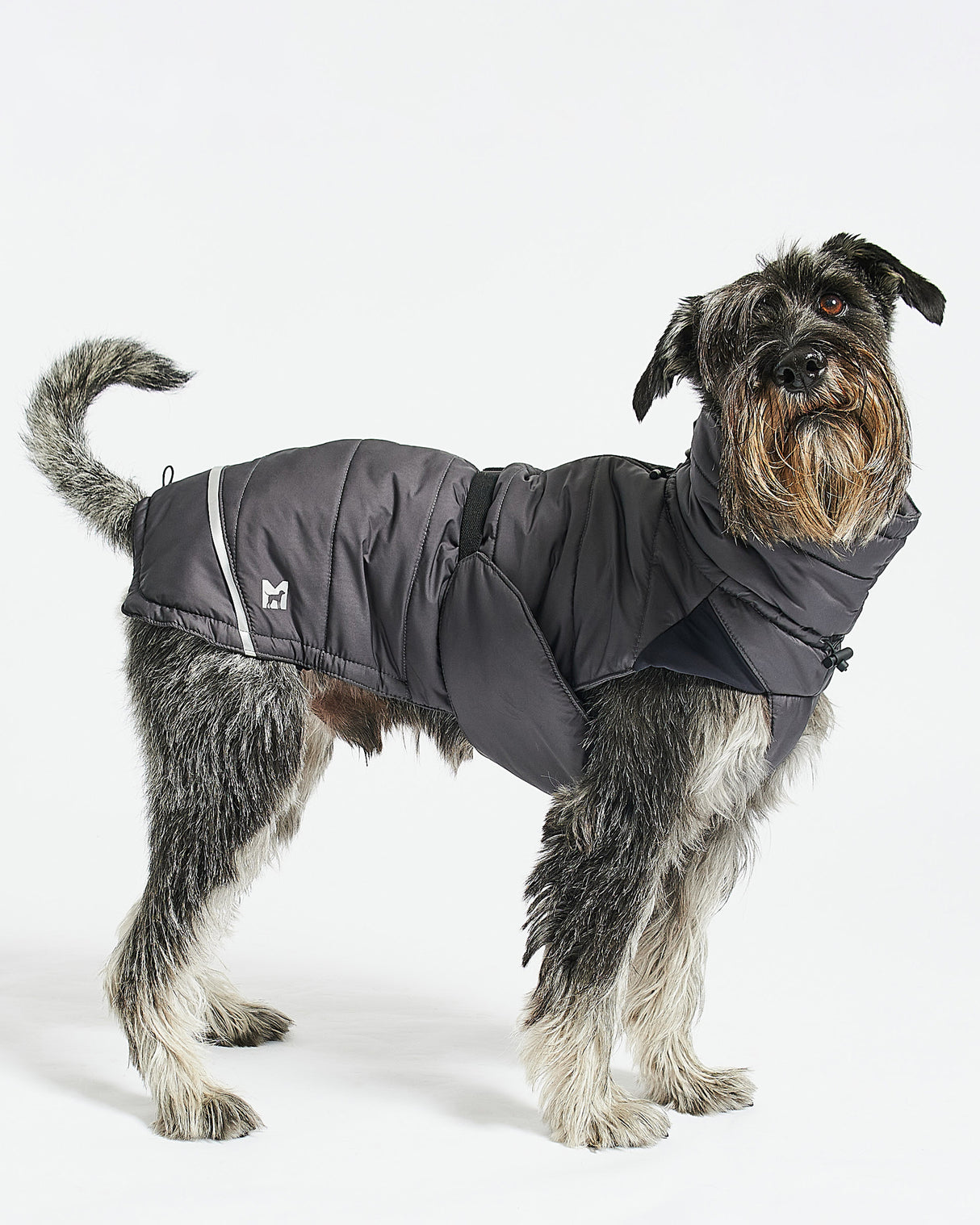COSIMA DOG WINTER COAT | מעיל חורף לכלב