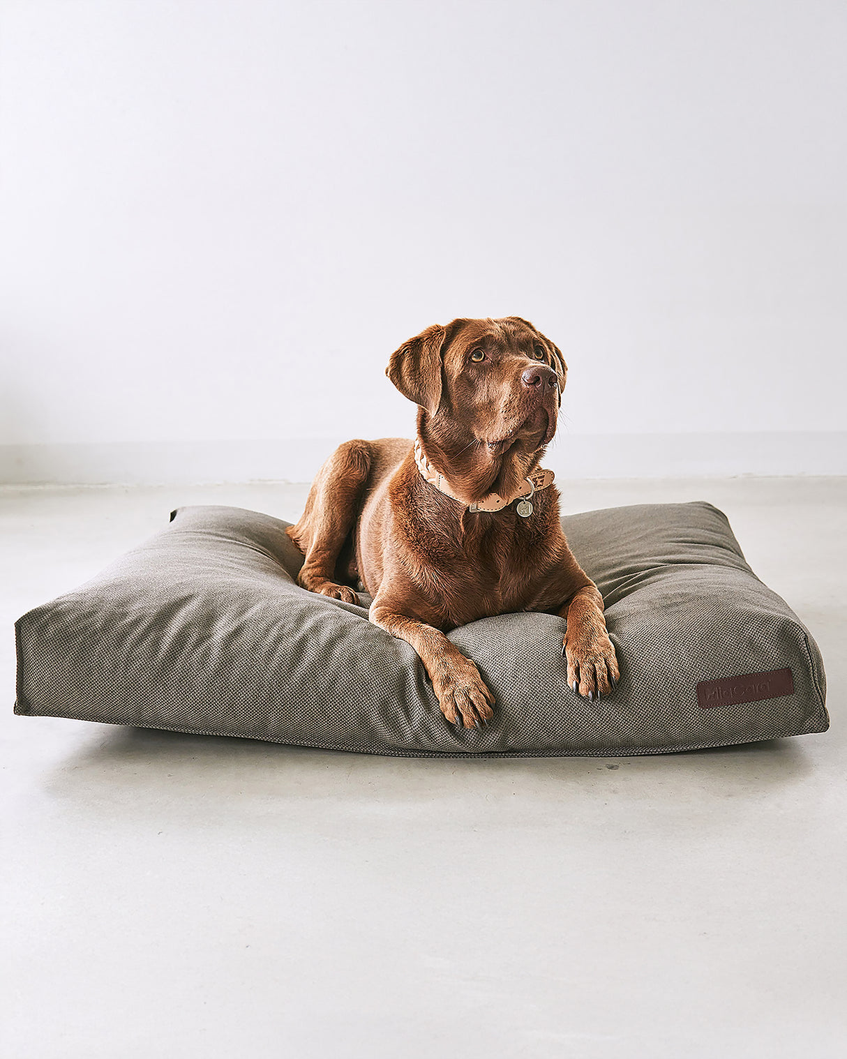 ריפוד להחלפה למיטה לכלב | REPLACEMENT COVER FOR MARE DOG CUSHION
