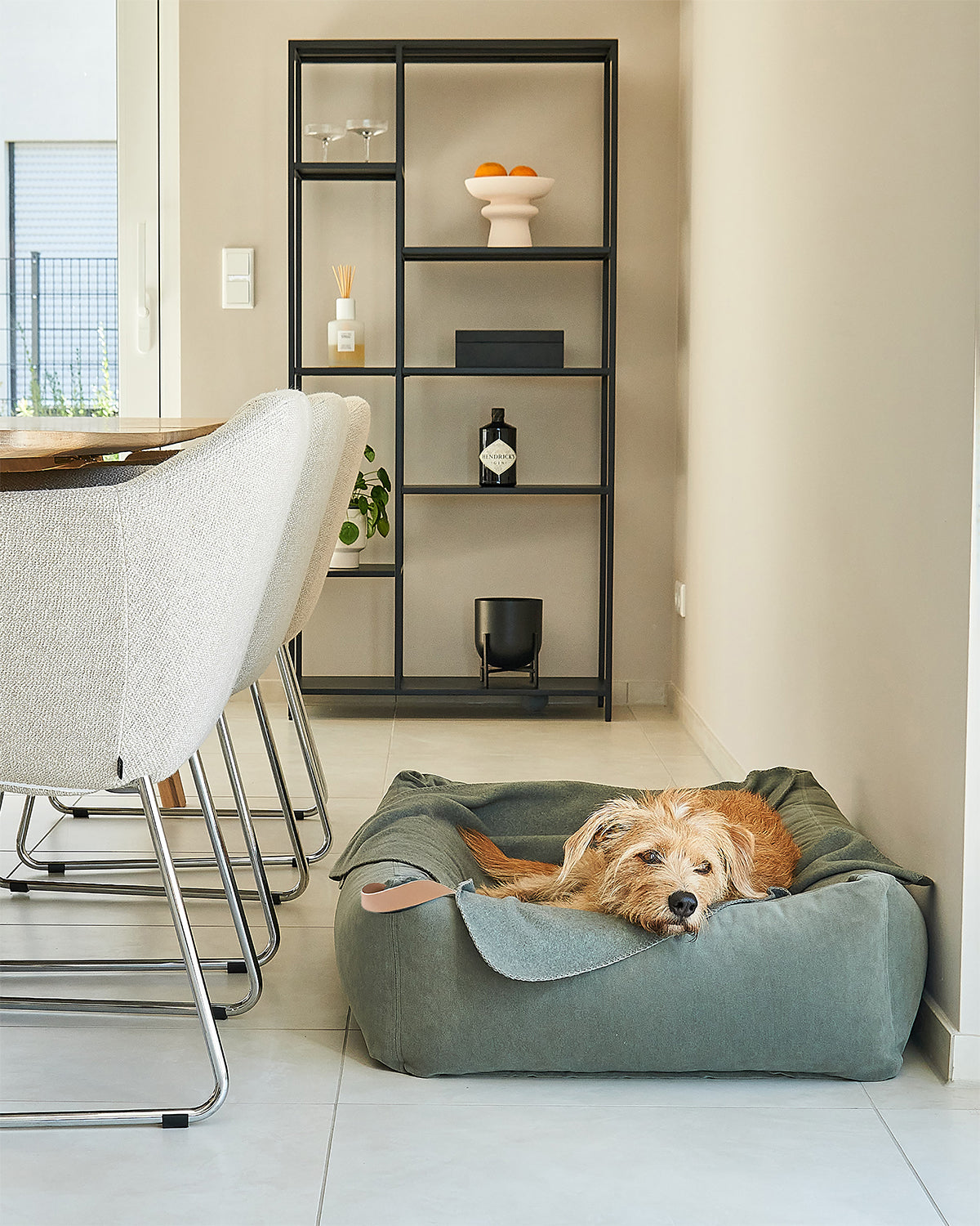 מיטות לכלבים