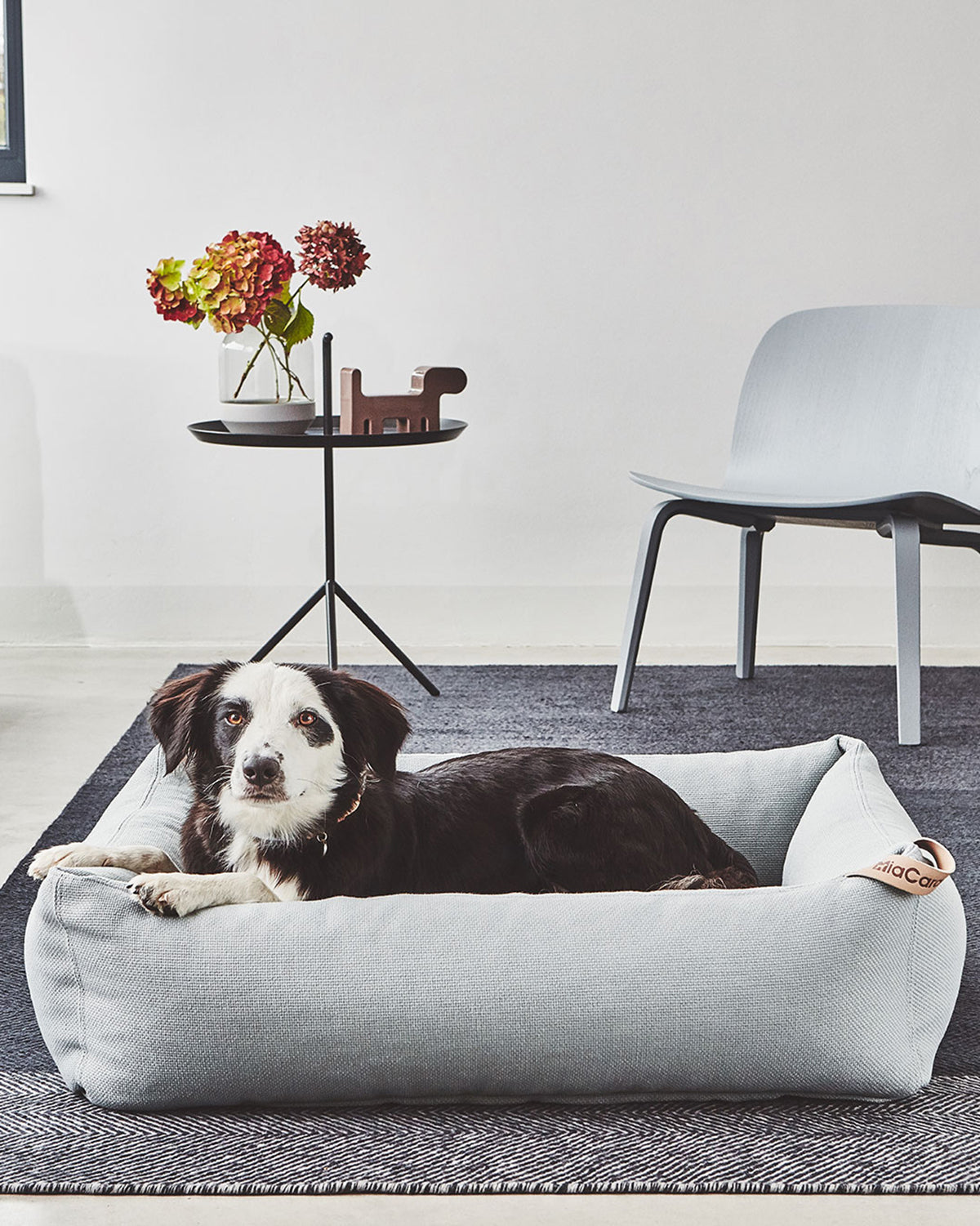 SONNO DOG BOX BED | מיטה לכלב