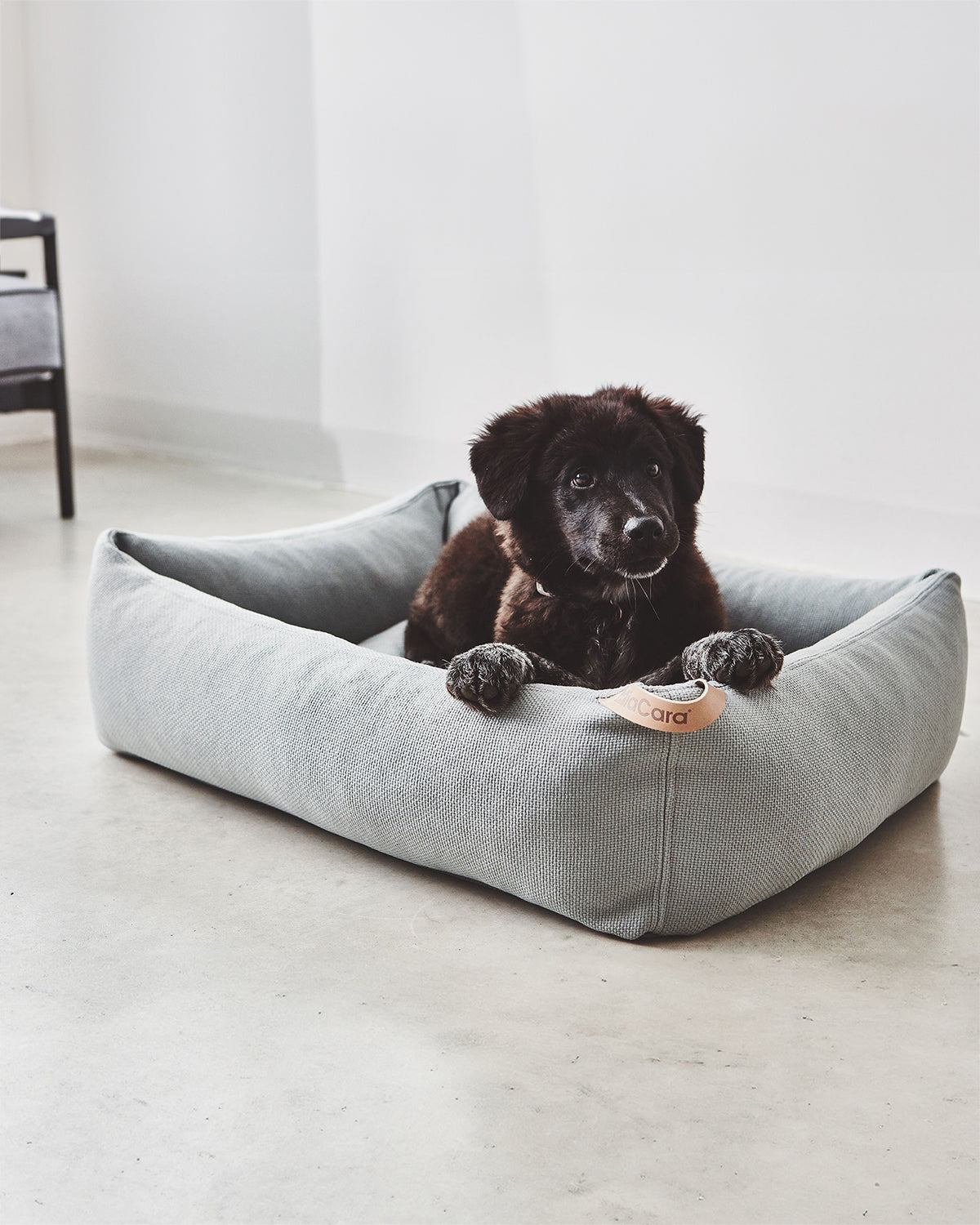 SONNO DOG BOX BED | מיטה לכלב