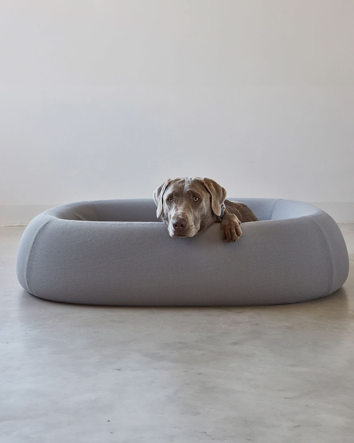 מיטה אורתופדית לכלב | BARCA ORTHOPEDIC DOG BED