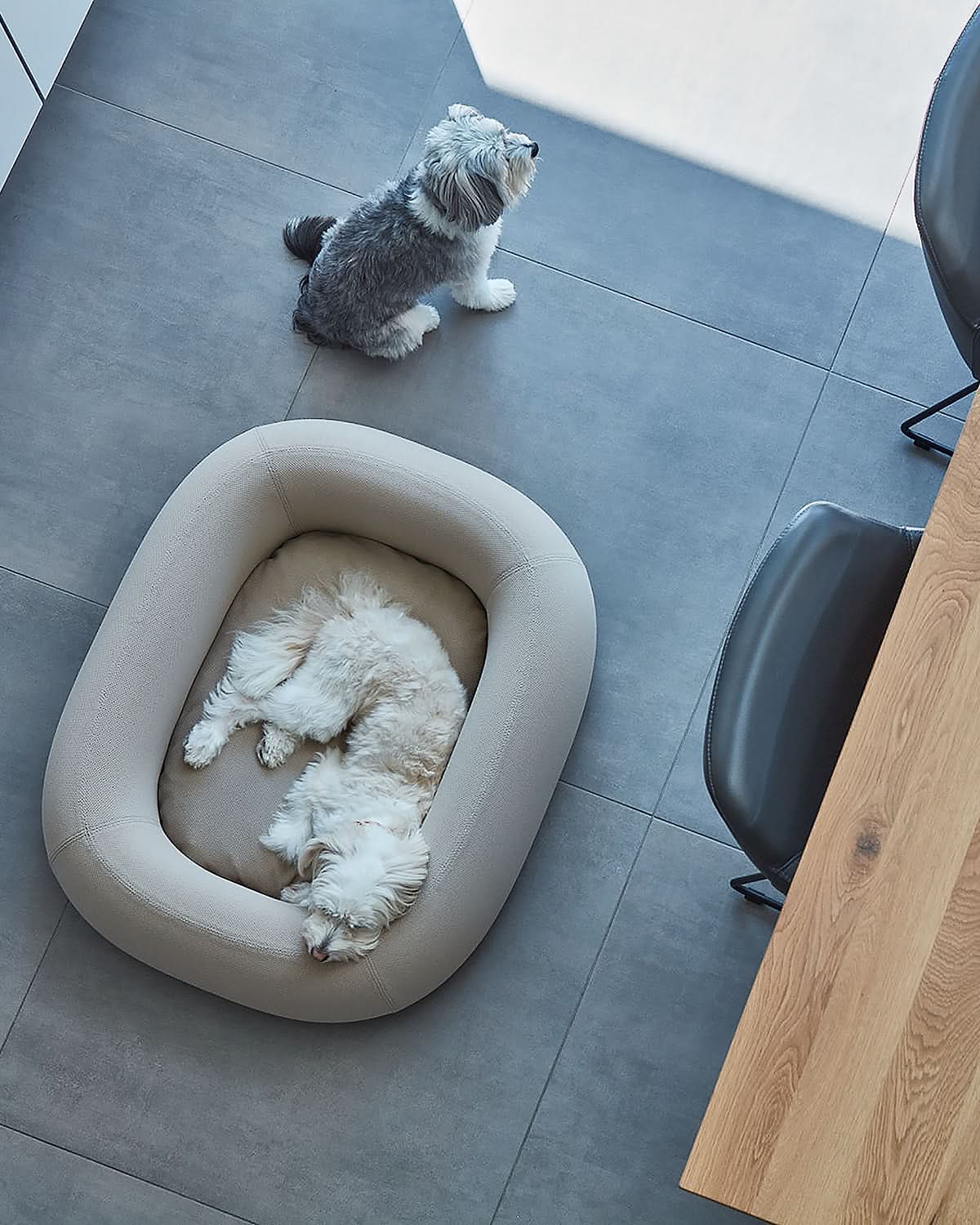 מיטה אורתופדית לכלב | BARCA ORTHOPEDIC DOG BED