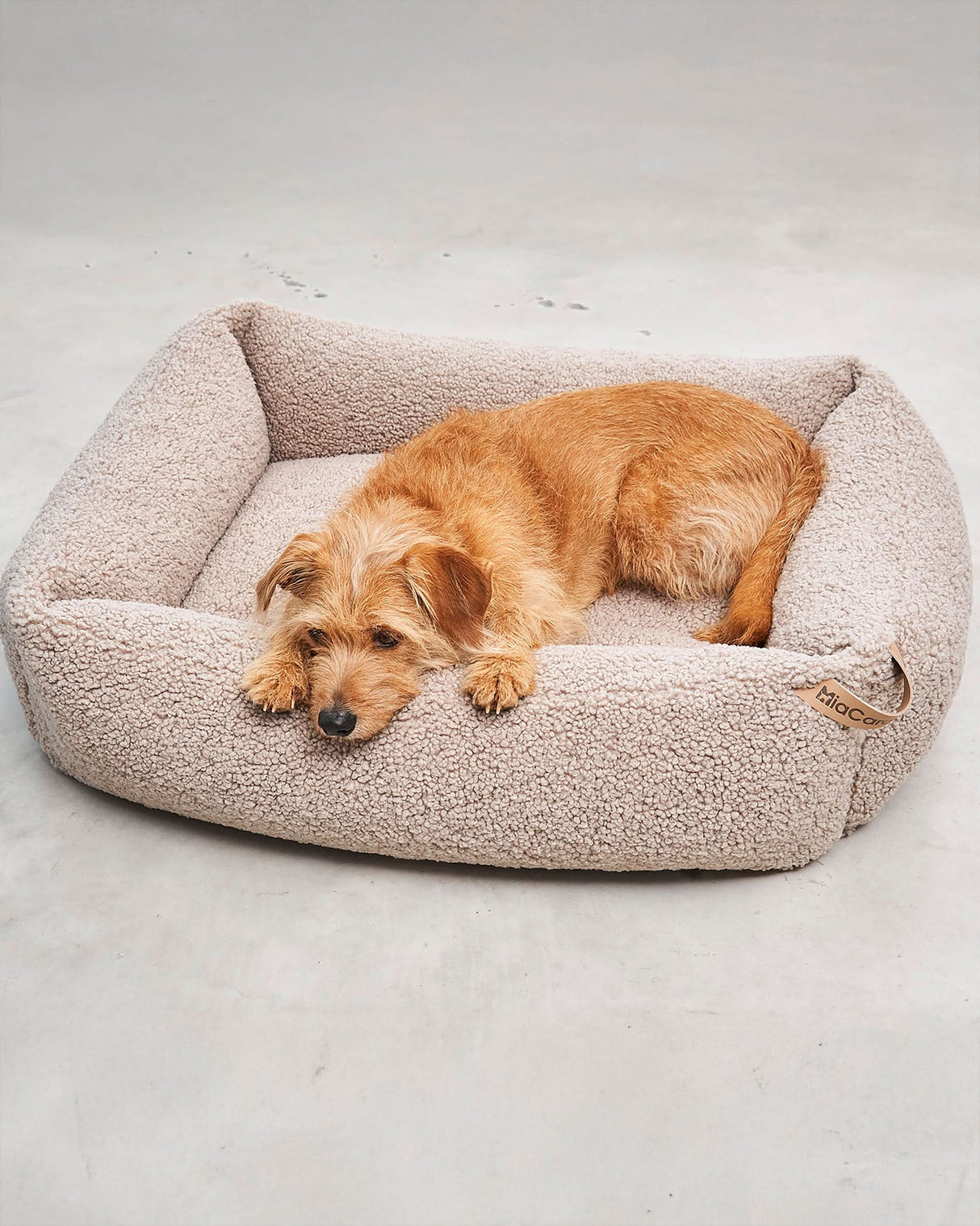 מיטה אורתופדית לכלב | SENSO DOG BOX BED