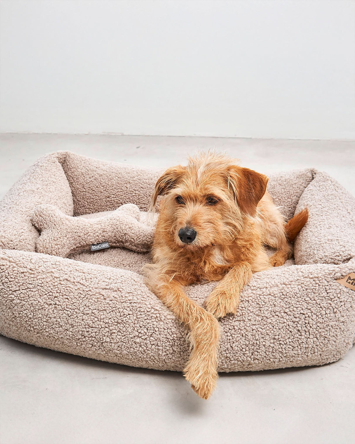 מיטה אורתופדית לכלב | SENSO DOG BOX BED