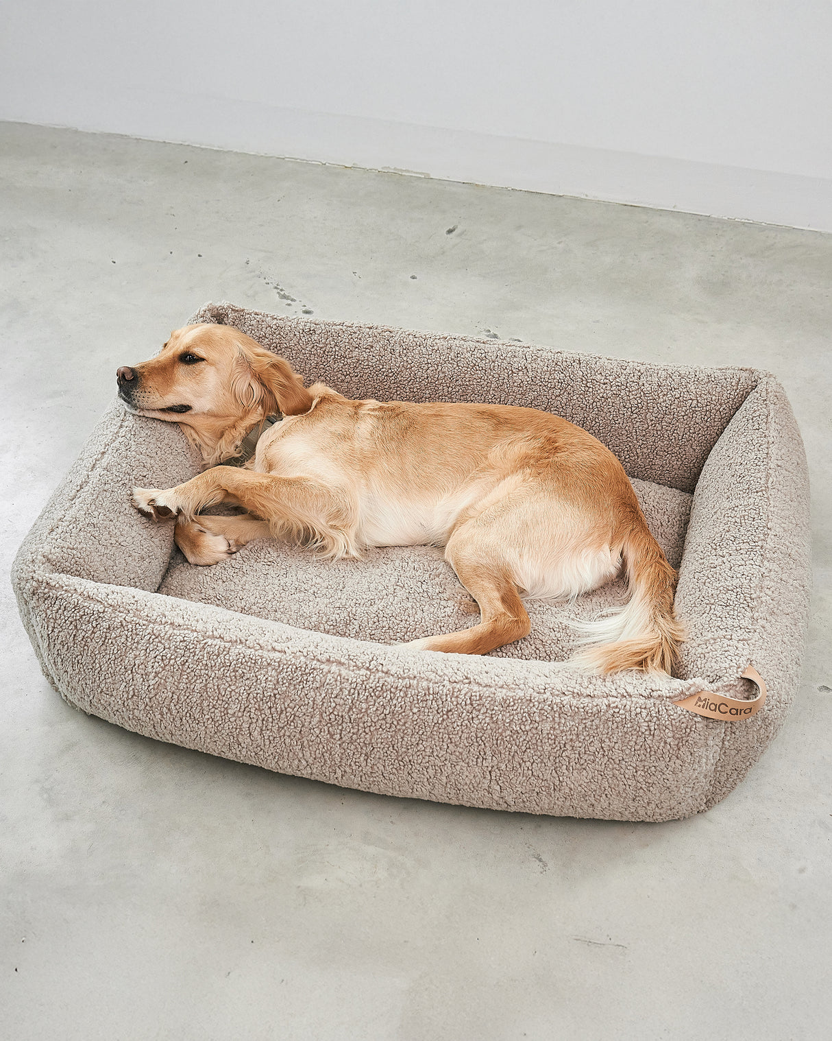 ריפוד להחלפה למיטה לכלב | REPLACEMENT COVER FOR SENSO DOG BOX BED