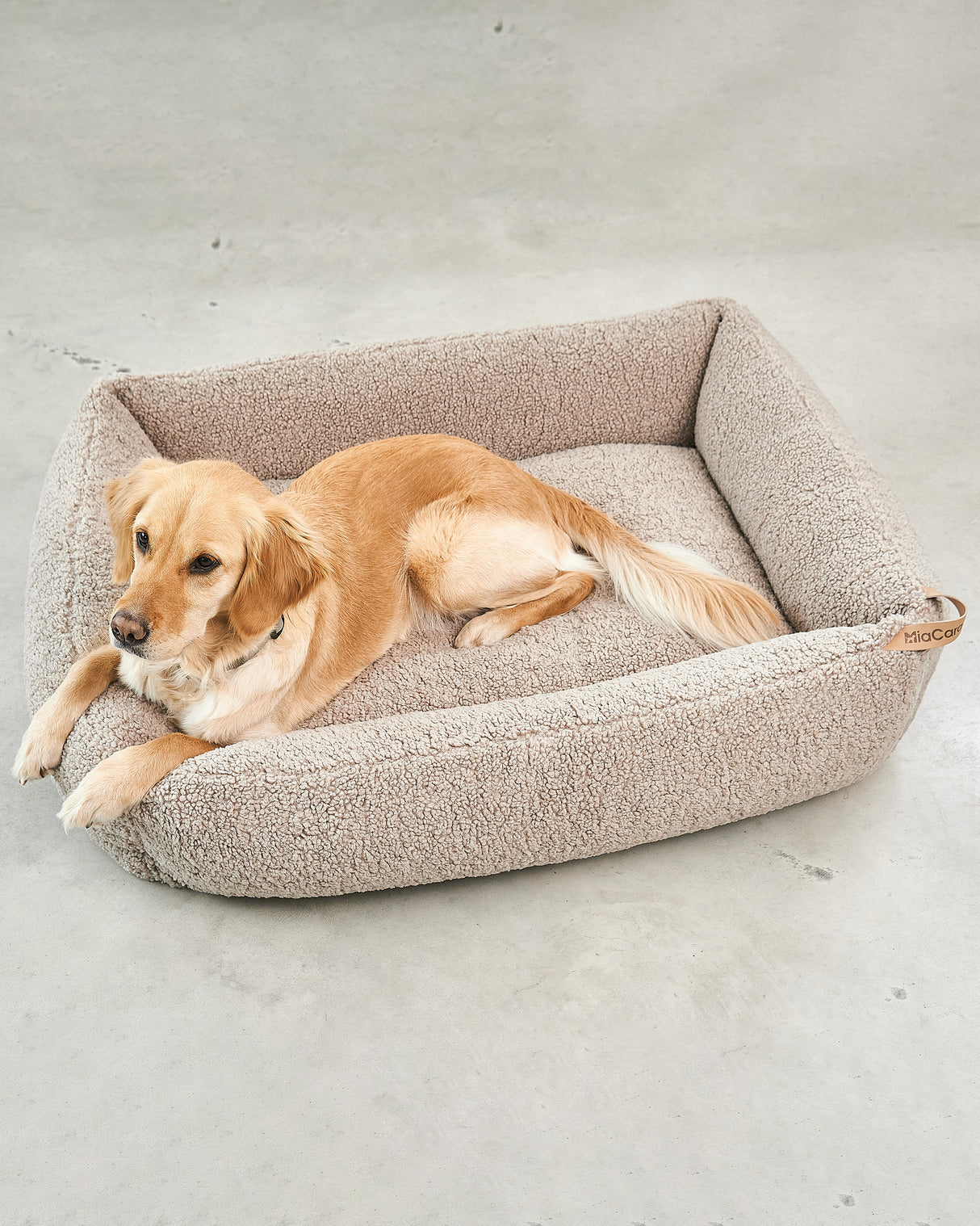 מיטה אורתופדית לכלב | SENSO DOG BOX BED