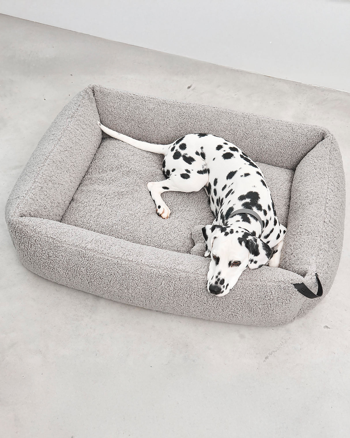 ריפוד להחלפה למיטה לכלב | REPLACEMENT COVER FOR SENSO DOG BOX BED