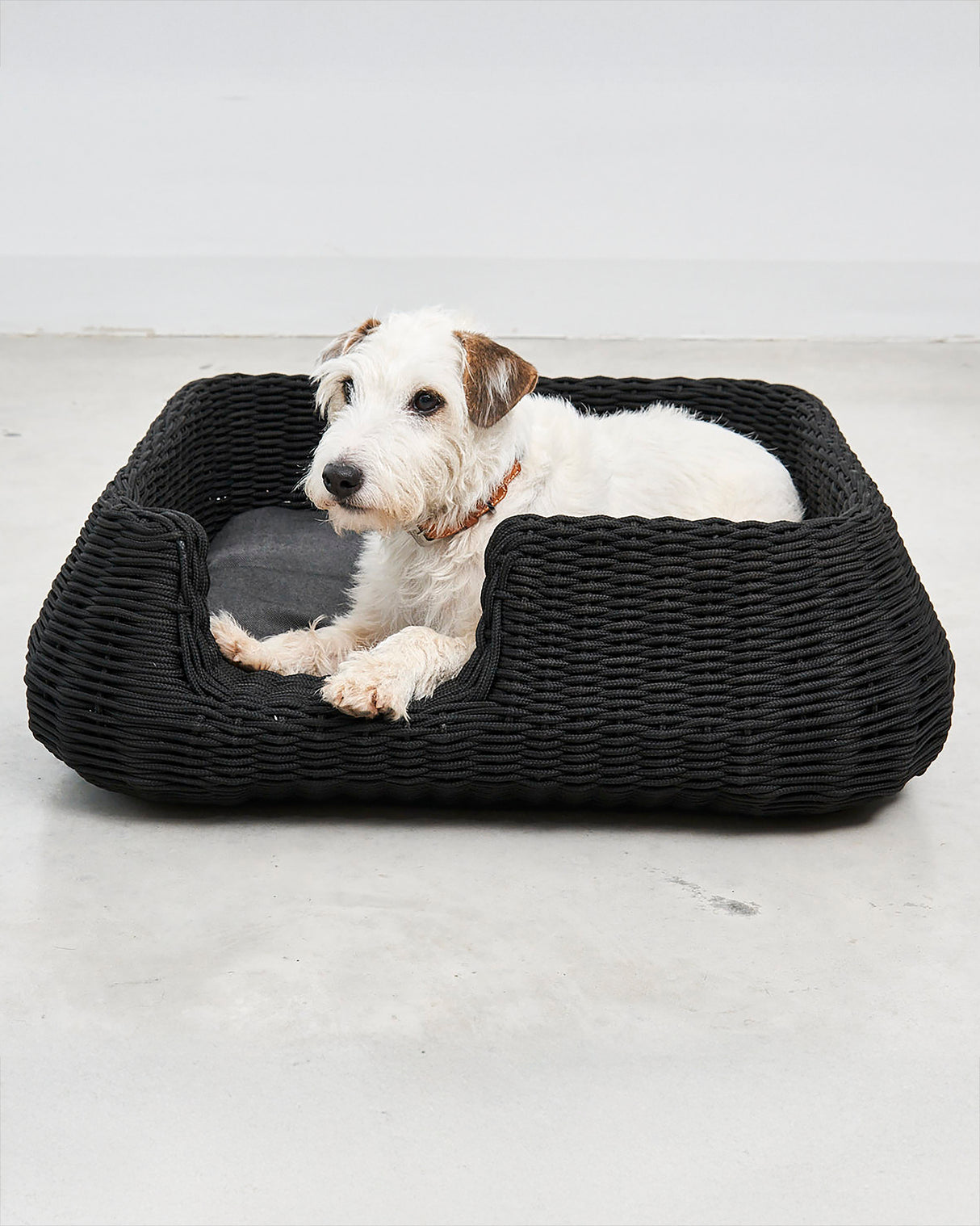 MIO ROPE DOG BED BASKET | מיטת פנים וחוץ לכלבים