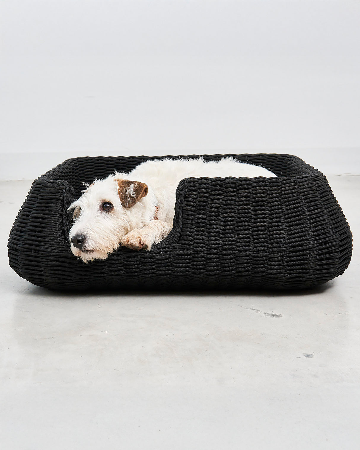 MIO ROPE DOG BED BASKET | מיטת פנים וחוץ לכלבים