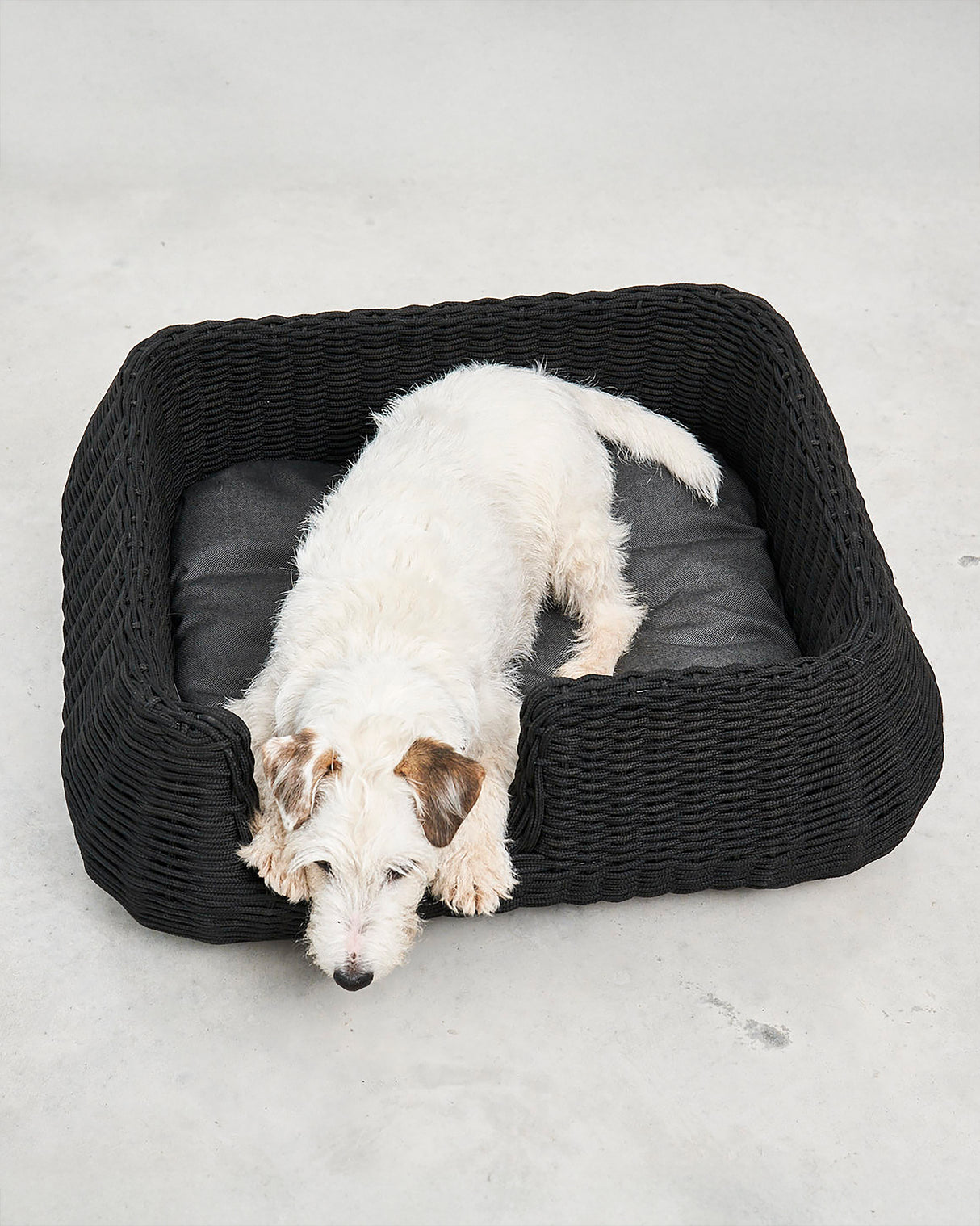 MIO ROPE DOG BED BASKET | מיטת פנים וחוץ לכלבים