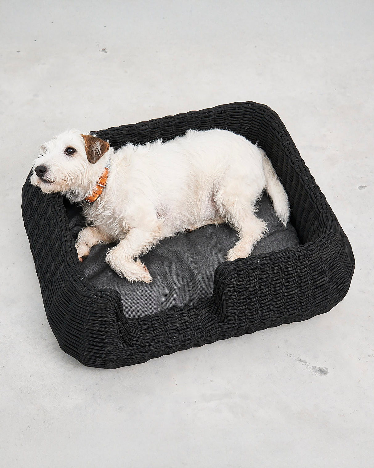 MIO ROPE DOG BED BASKET | מיטת פנים וחוץ לכלבים