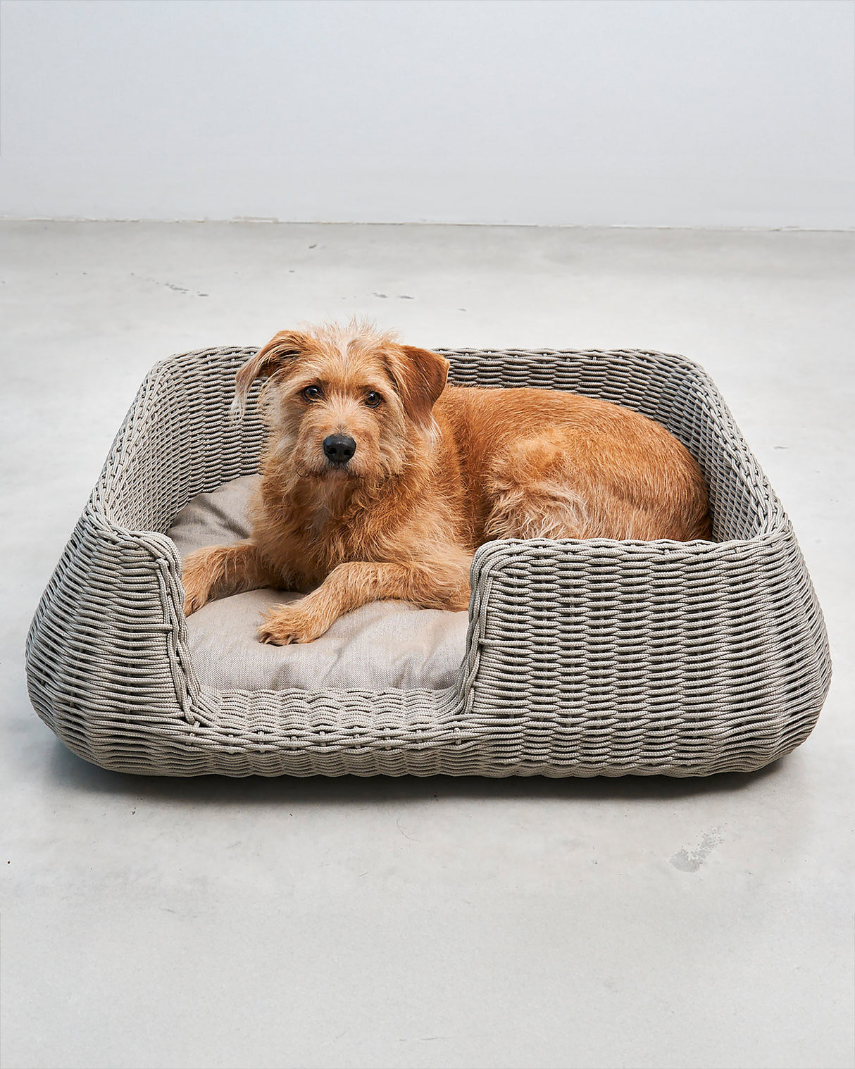 MIO ROPE DOG BED BASKET | מיטת פנים וחוץ לכלבים