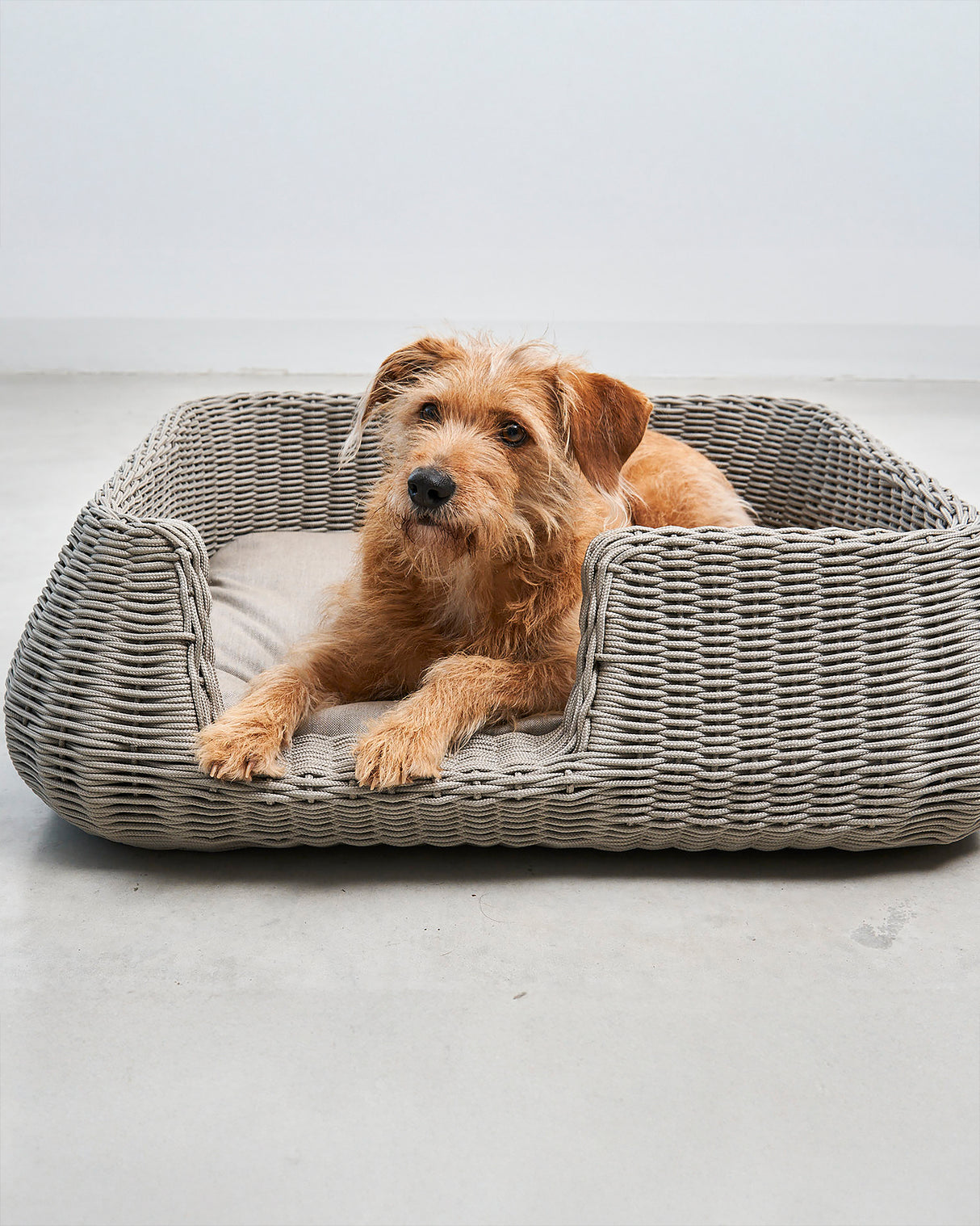 MIO ROPE DOG BED BASKET | מיטת פנים וחוץ לכלבים