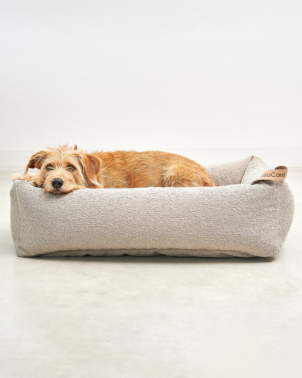 ריפוד להחלפה למיטה לכלב | REPLACEMENT COVER FOR MONDO DOG BOX BED
