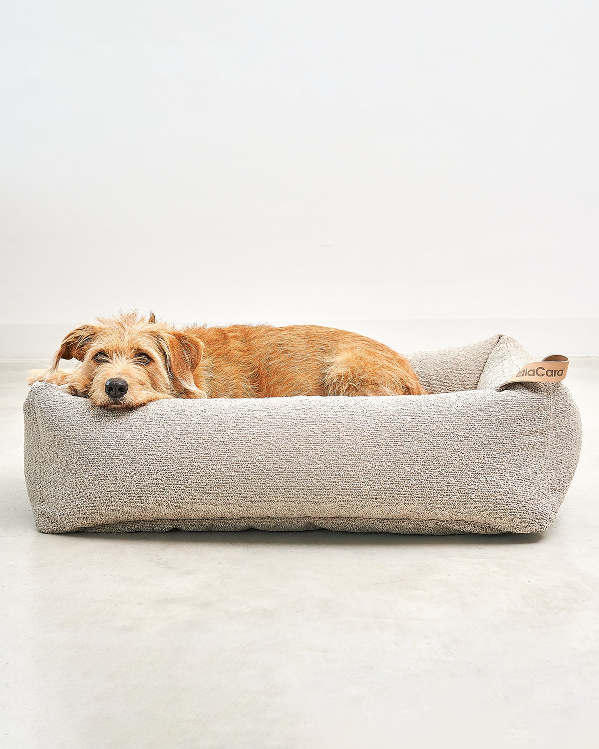 מיטה אורתופדית לכלב | MONDO DOG BOX BED
