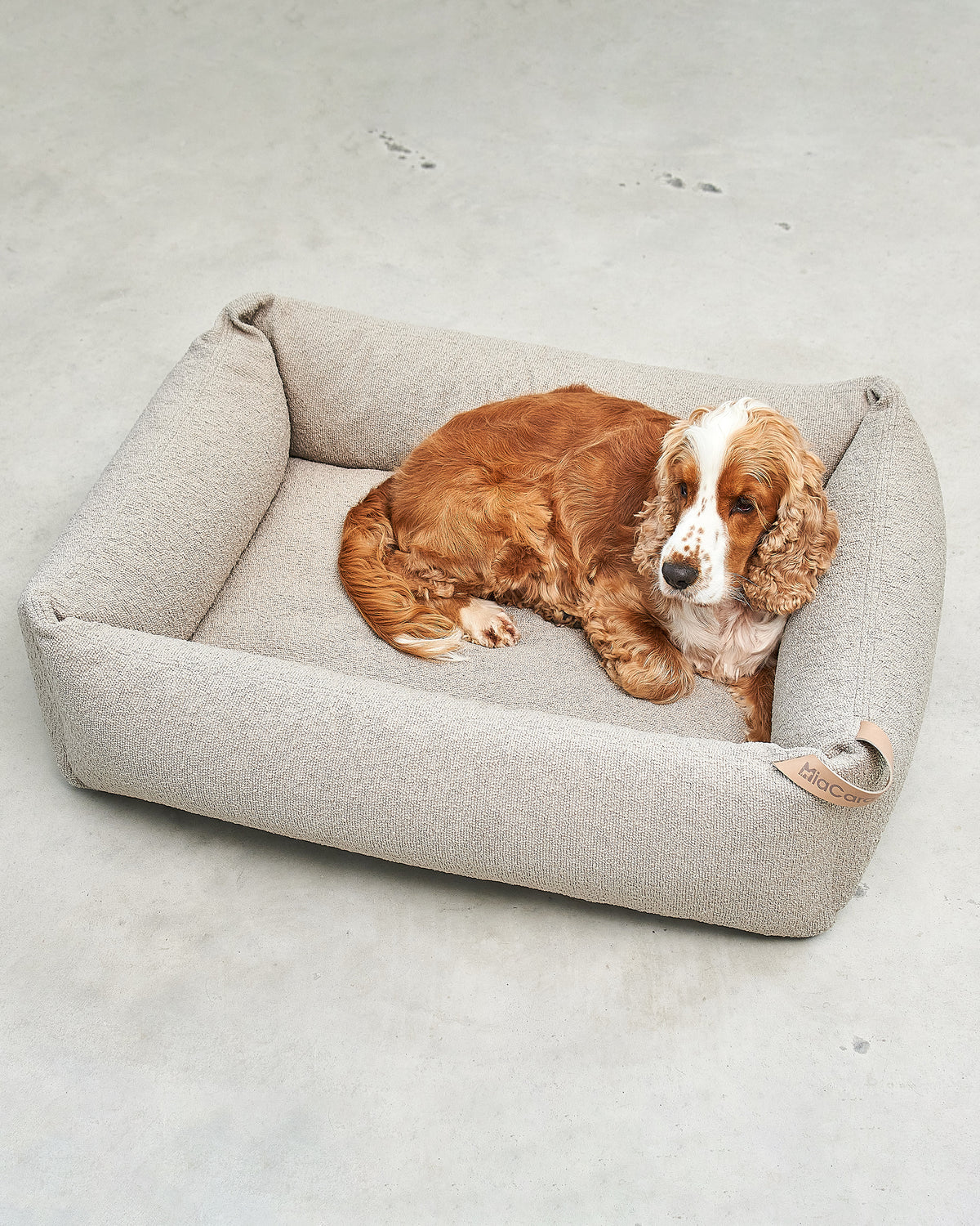 מיטה אורתופדית לכלב | MONDO DOG BOX BED