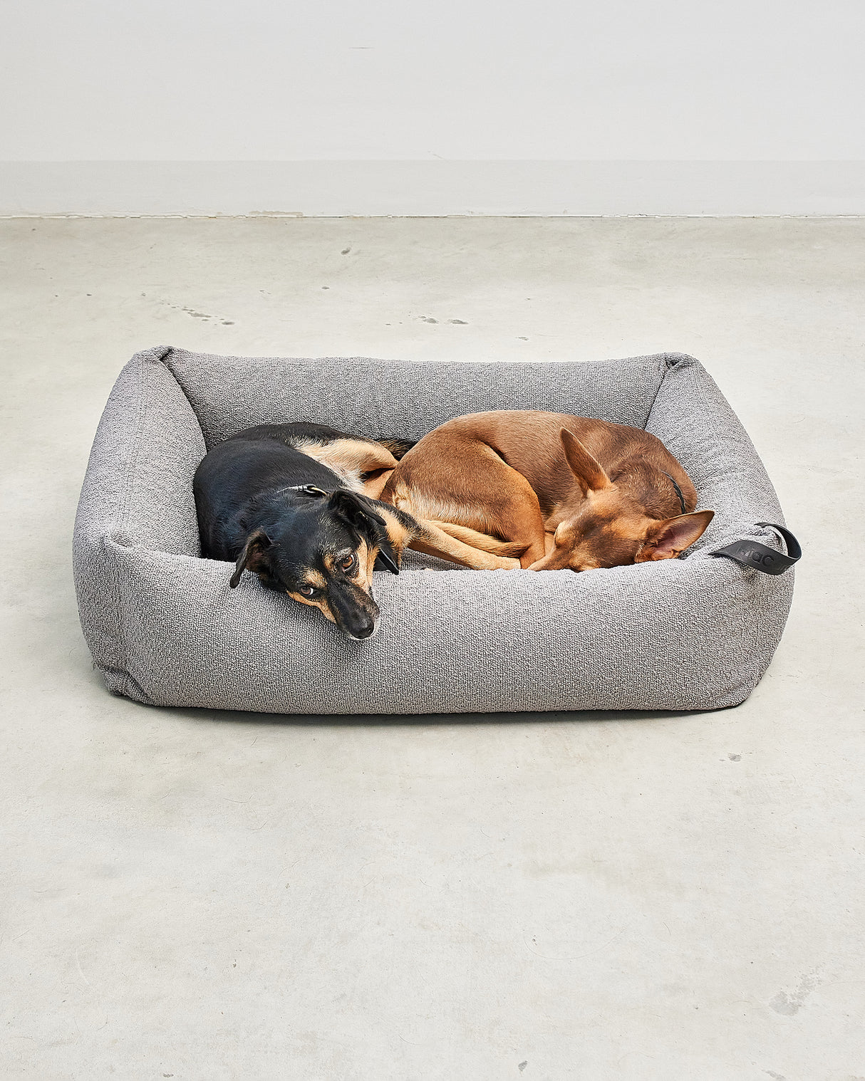 ריפוד להחלפה למיטה לכלב | REPLACEMENT COVER FOR MONDO DOG BOX BED