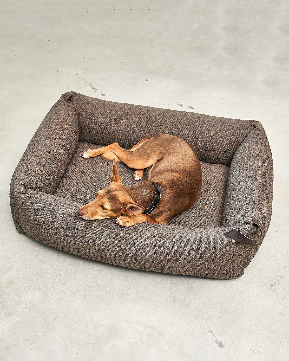 MONDO DOG BOX BED | מיטה לכלב