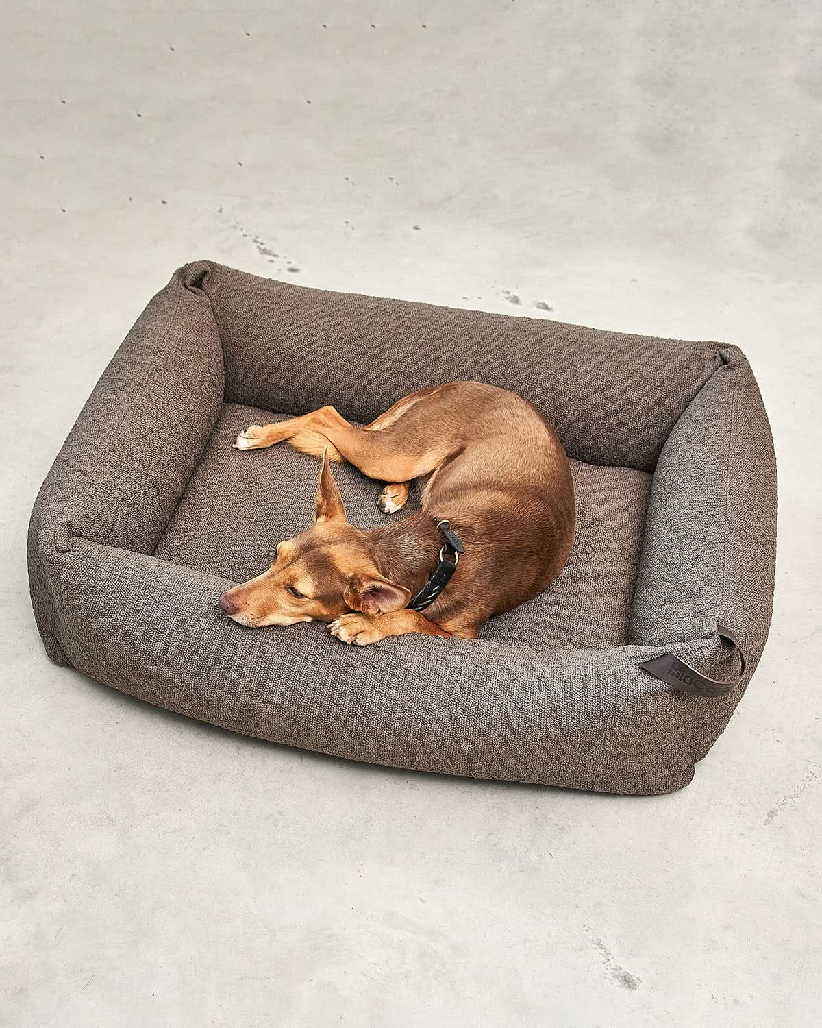 מיטה אורתופדית לכלב | MONDO DOG BOX BED
