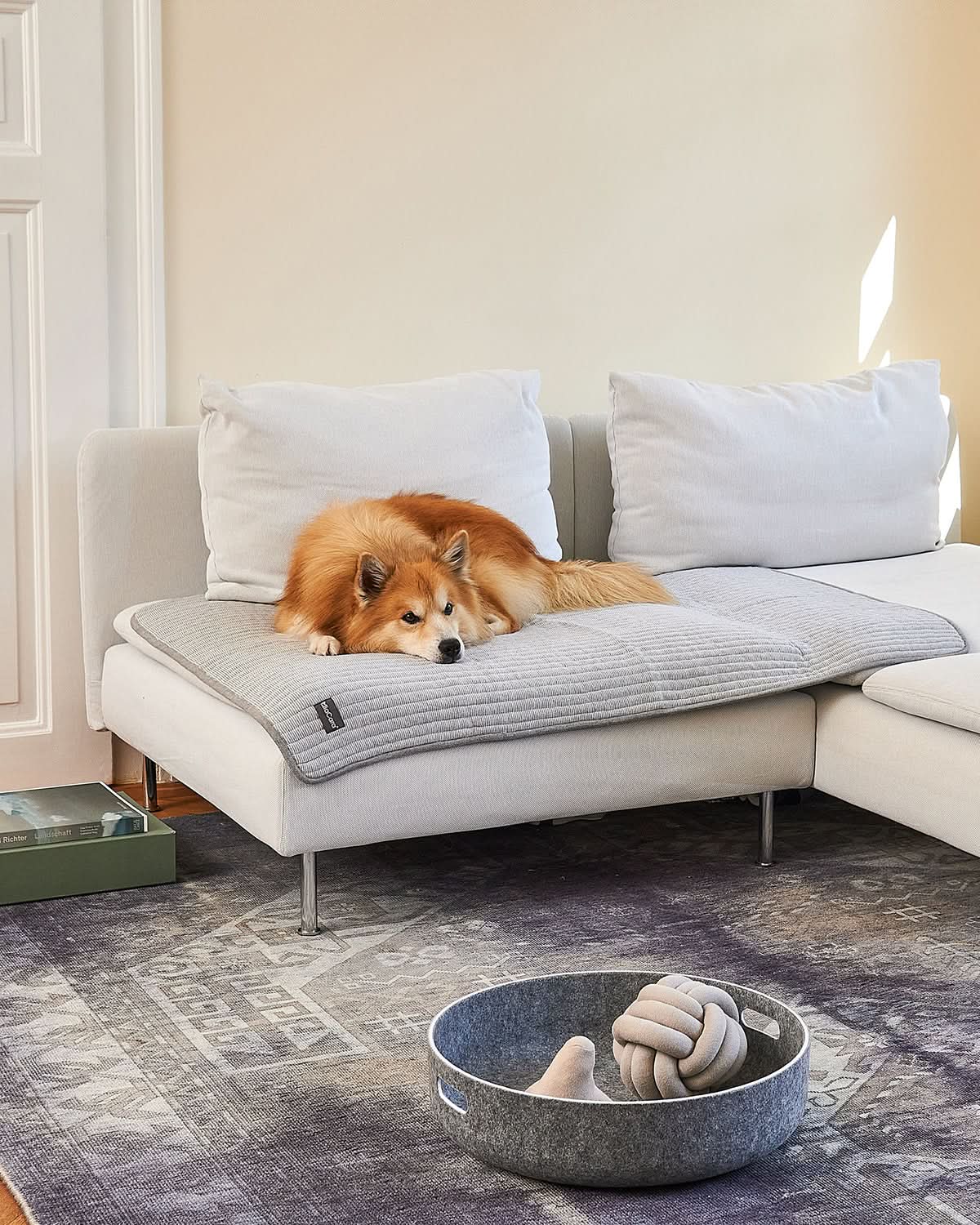 סלסלת צעצועים לכלבים