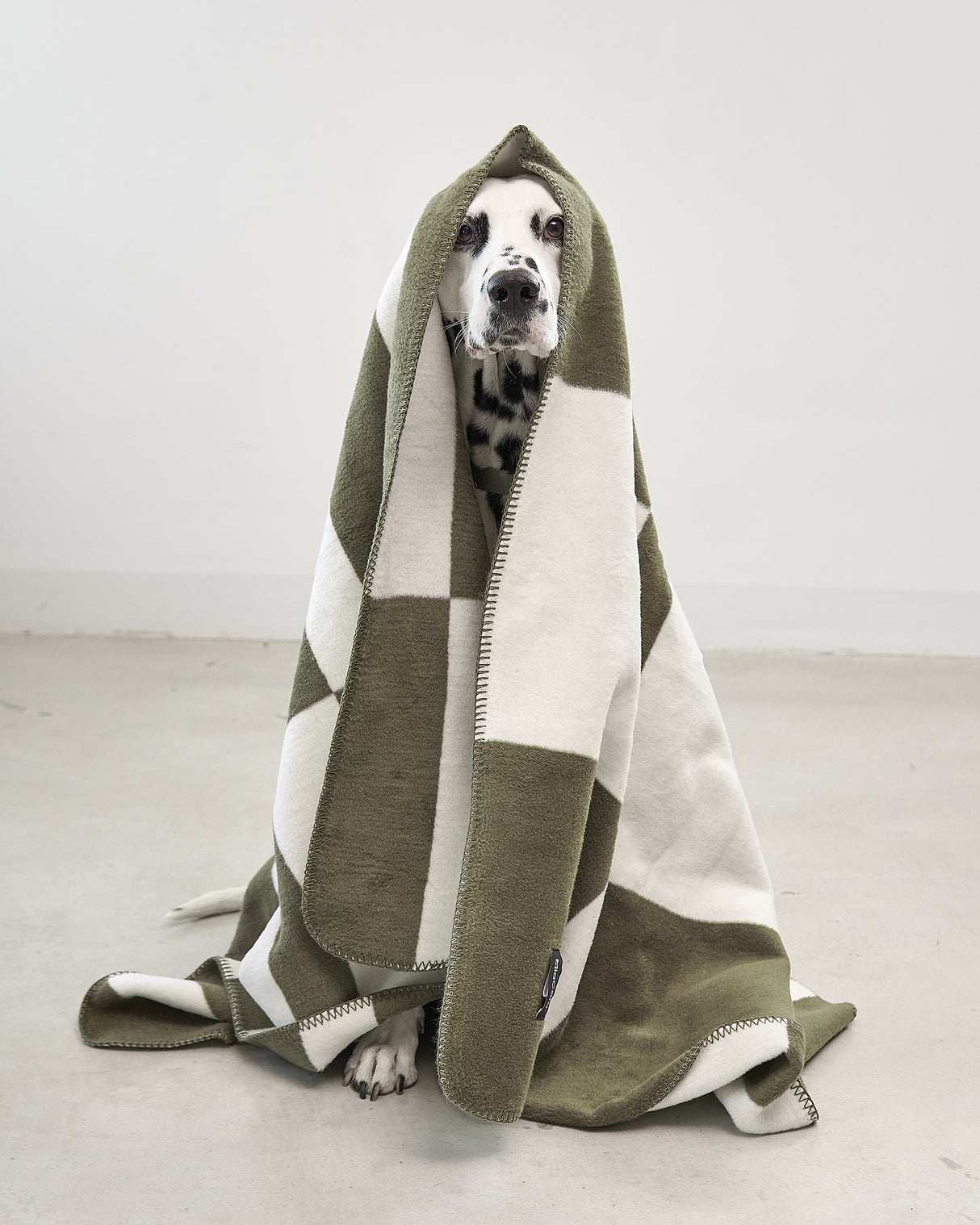 BLOCCO DOG COTTON BLANKET | שמיכה לכלב