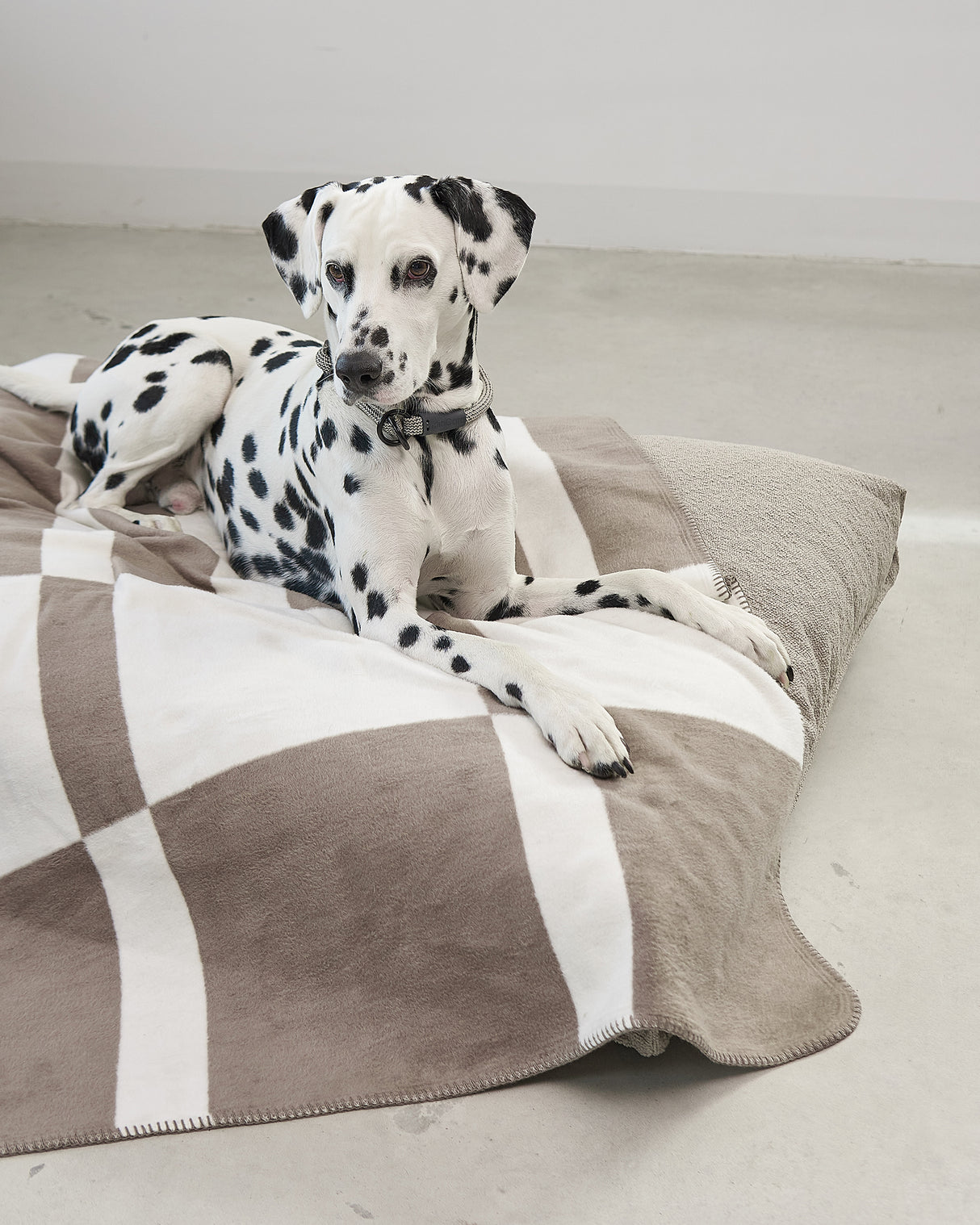 BLOCCO DOG COTTON BLANKET | שמיכה לכלב