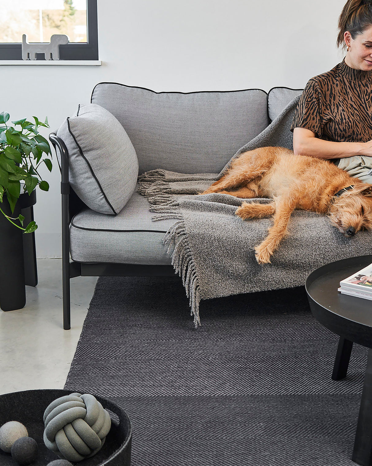 BUCCOLA THROW FAMILY BLANKET | שמיכה לכלב, לחתול ולבעלים