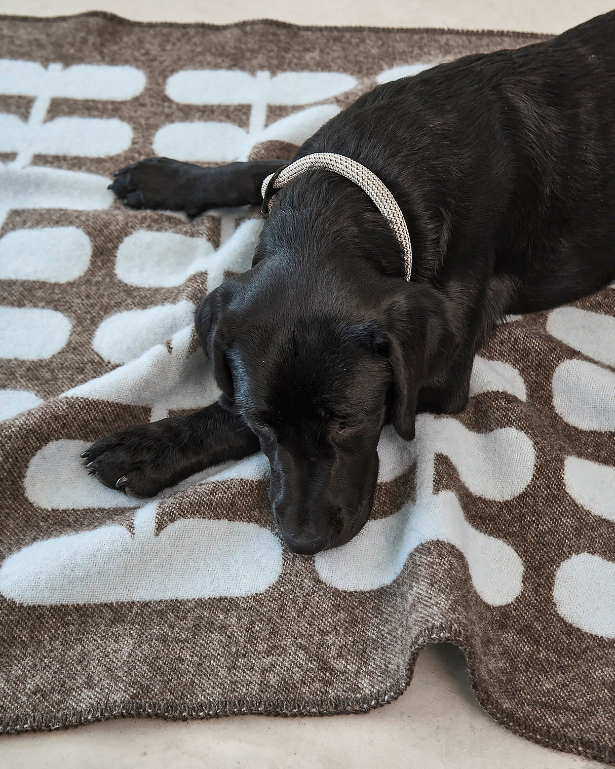 FLORA DOG WOOL BLANKET | שמיכה לכלב