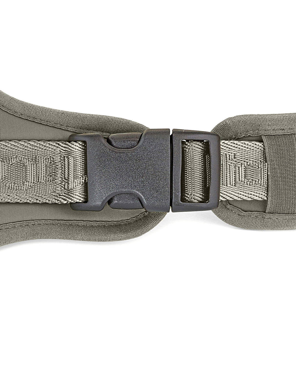 MODENA HARNESS | רתמה לכלב