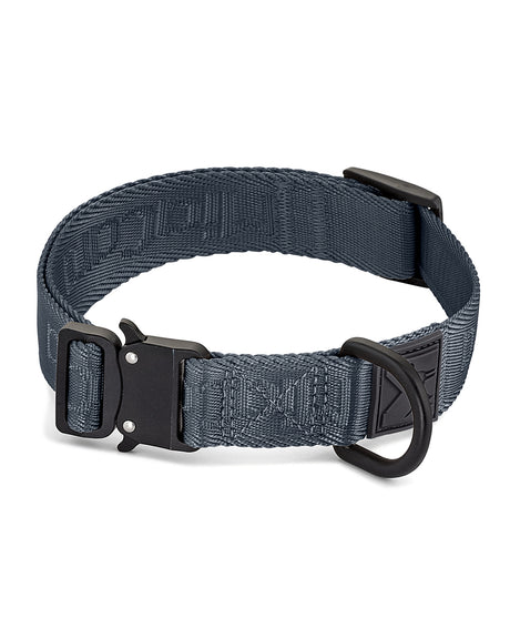 MODENA DOG COLLAR | קולר לכלב