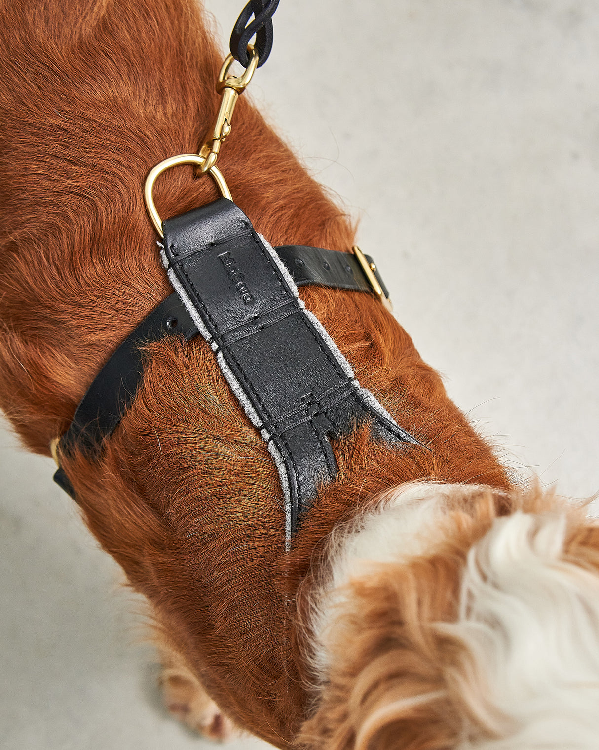 VERONA LEATHER DOG HARNESS | רתמת עור לכלב