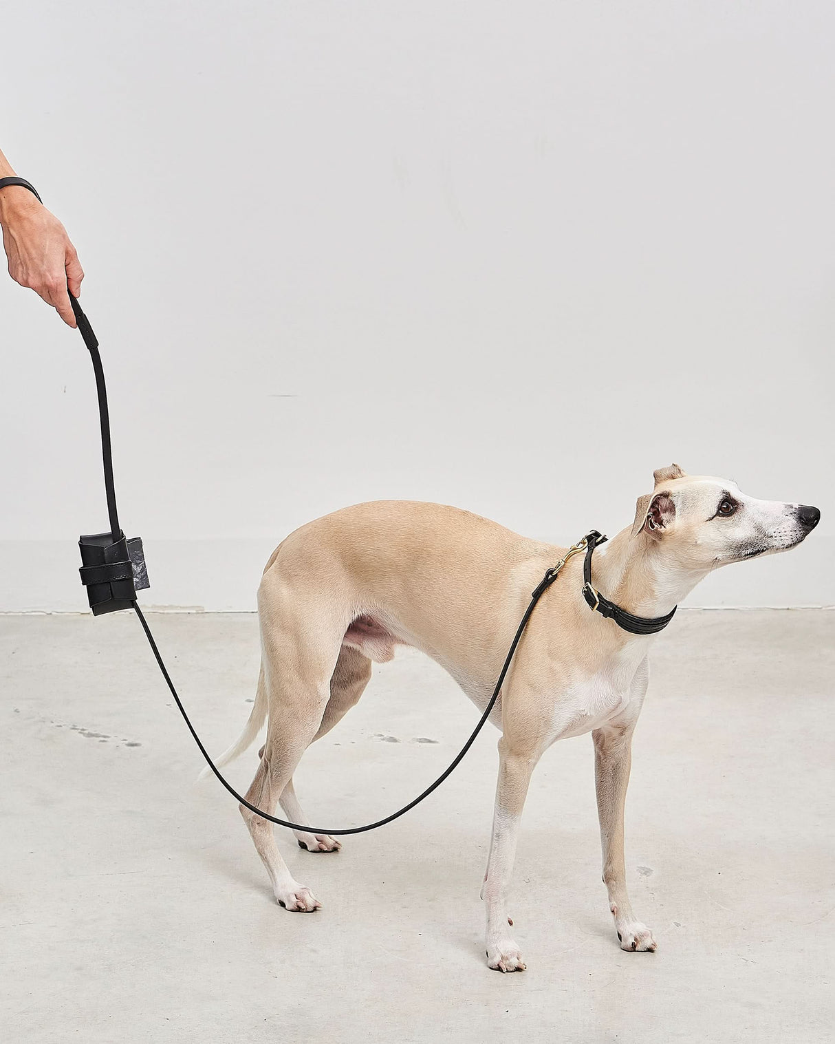 Fano Slip Leather Collar | קולר סליפ מעור לכלב