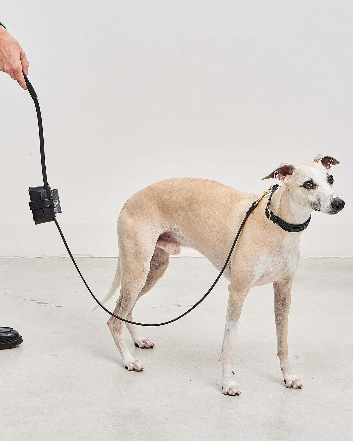 Fano Slip Leather Collar | קולר סליפ מעור לכלב