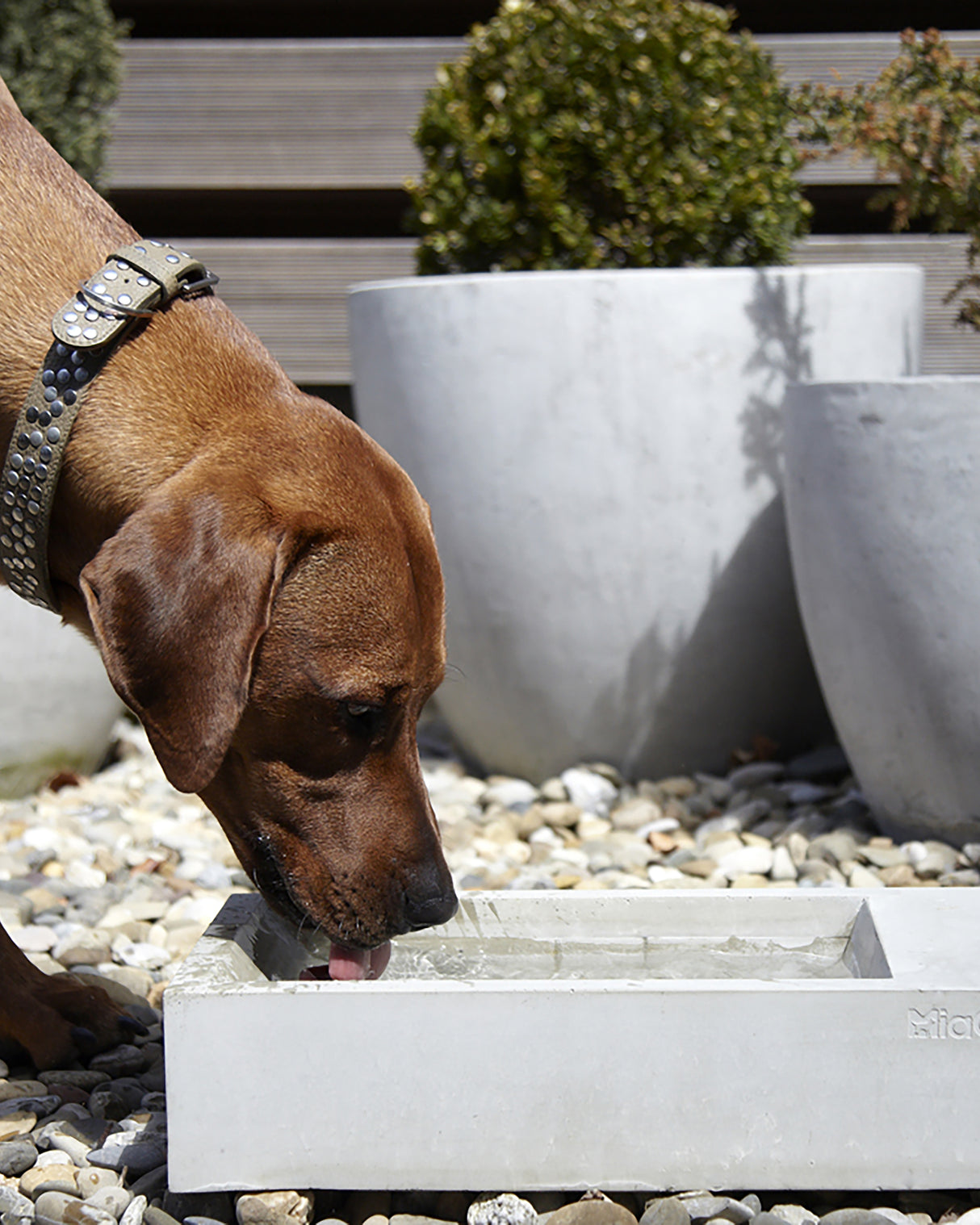 קערת מים בחוץ TROGOLO | קערת מים לחצר לכלב ולחתול
