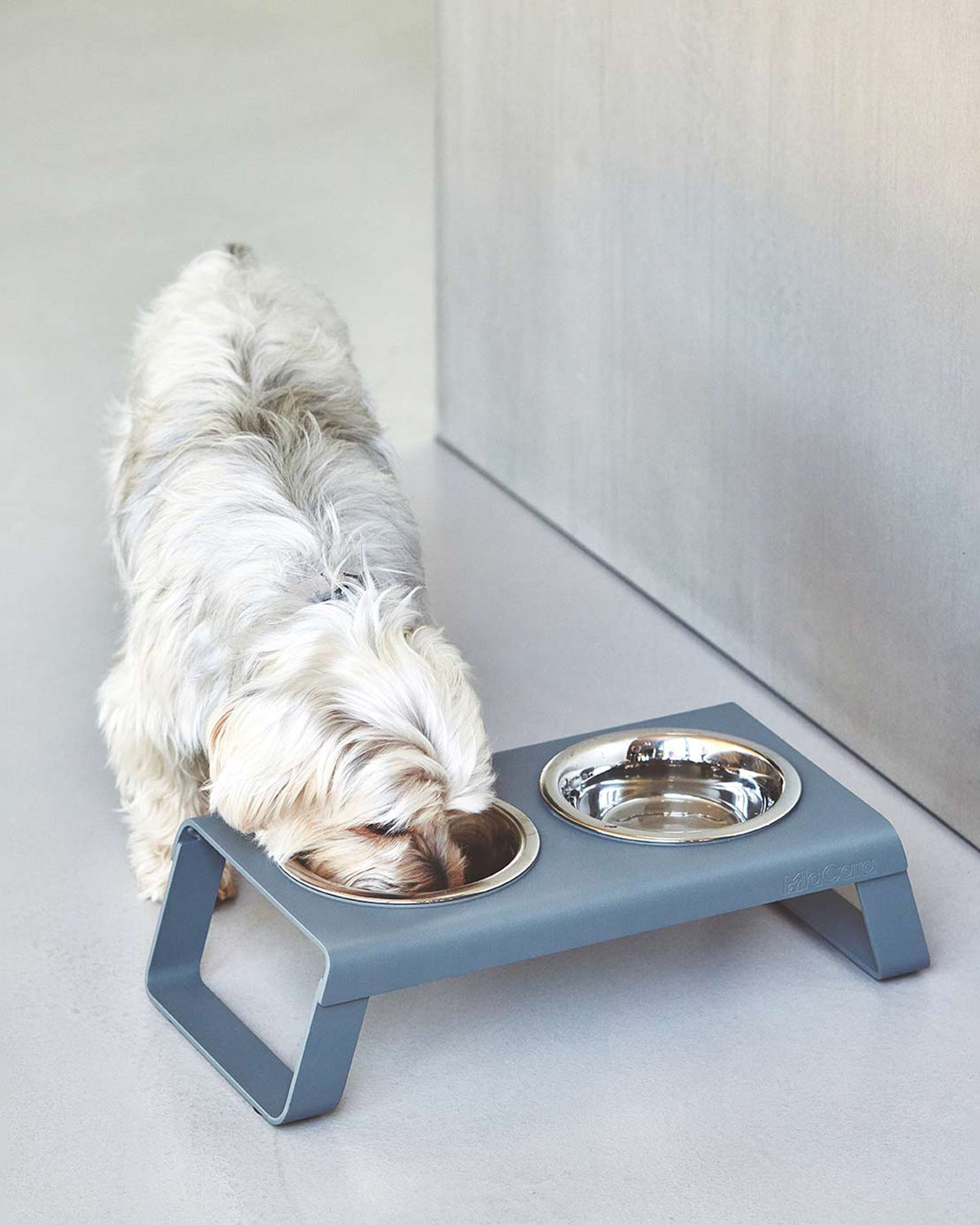 DESCO ALU | מעמד קערות מוגבה לכלב