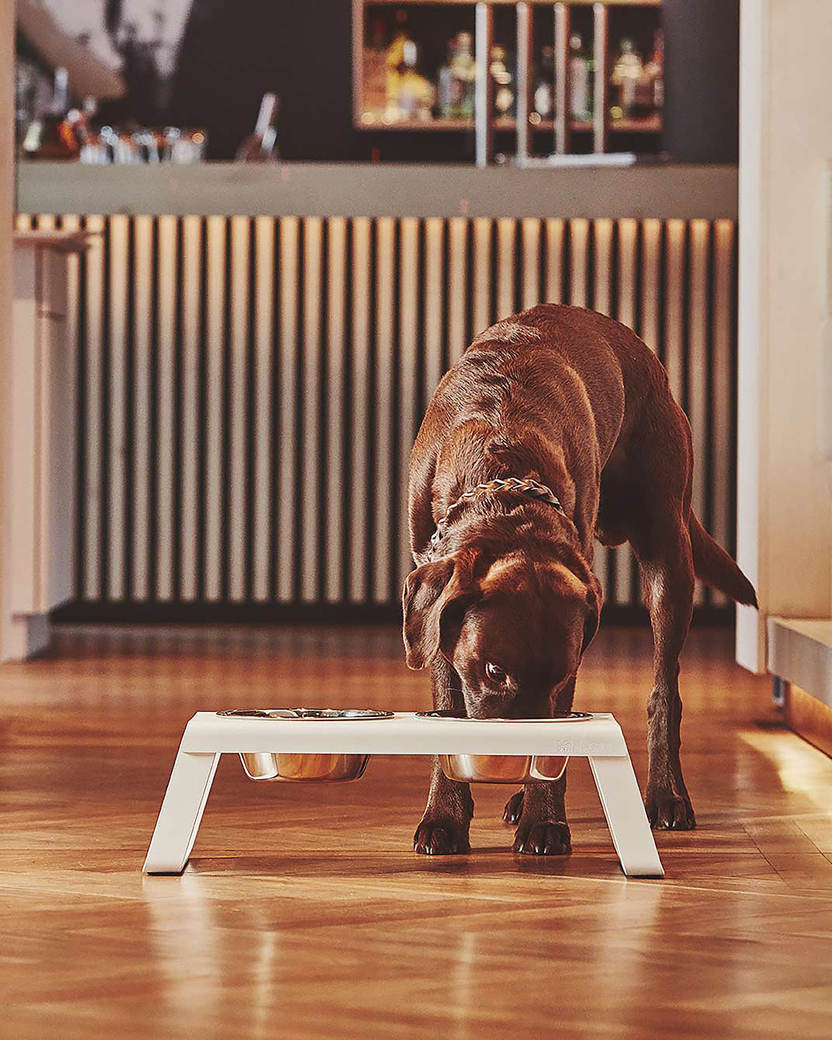 DESCO ALU | מעמד קערות מוגבה לכלב