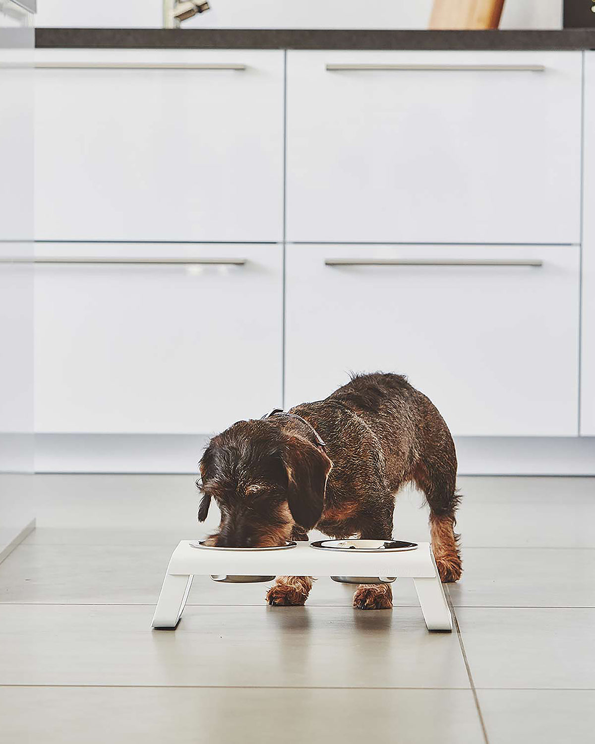 DESCO ALU  | מעמד קערות מוגבה לכלב