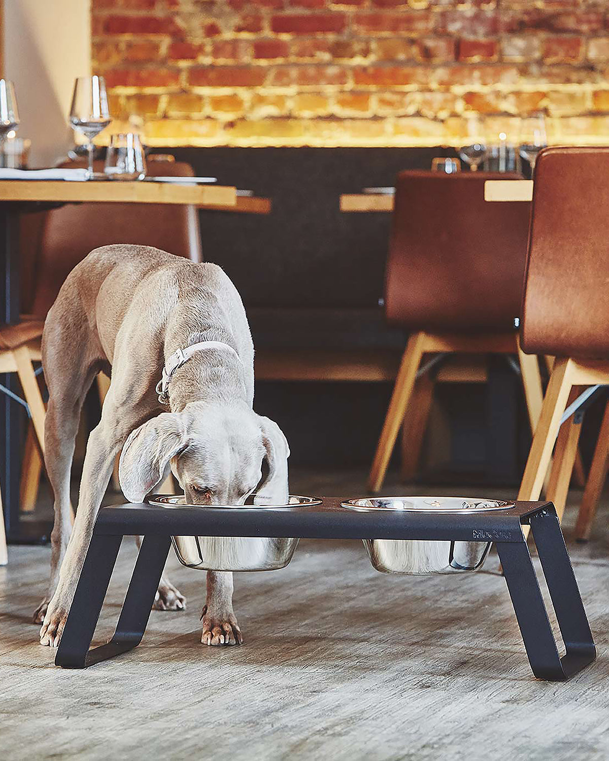 DESCO ALU  | מעמד קערות מוגבה לכלב