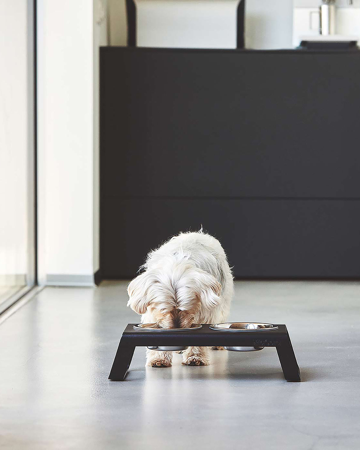 DESCO ALU  | מעמד קערות מוגבה לכלב