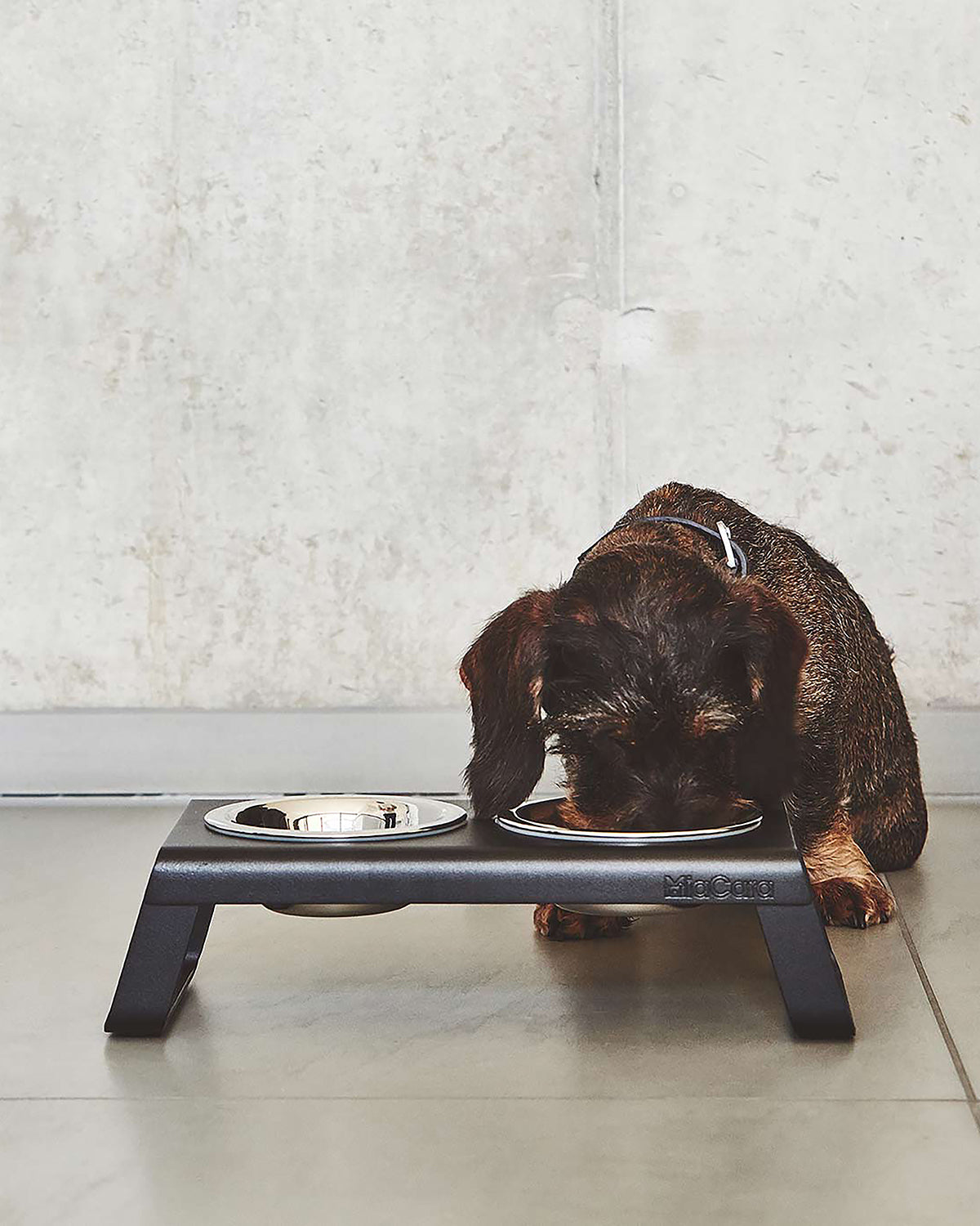 DESCO ALU  | מעמד קערות מוגבה לכלב