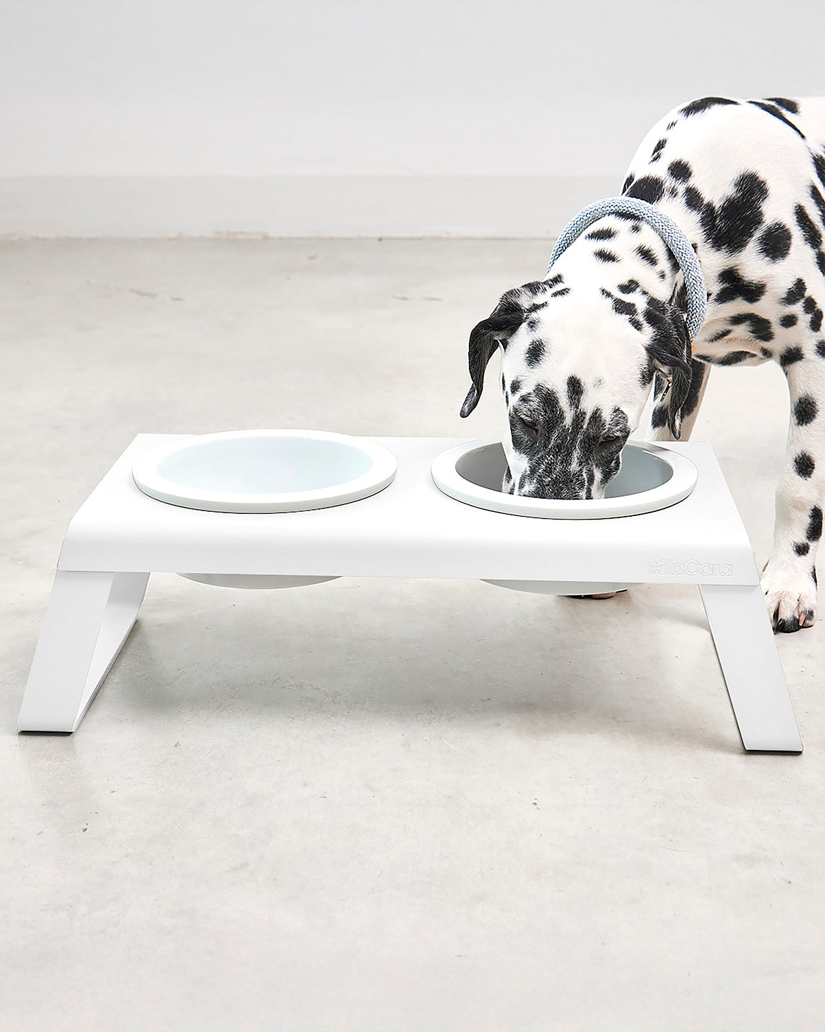 DESCO ALU PORCELAIN | מעמד קערות מוגבה לכלב