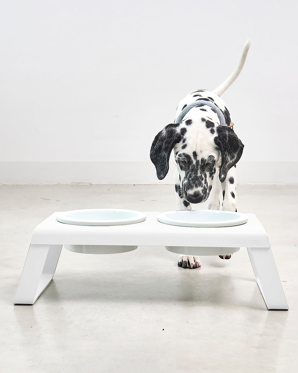 DESCO ALU PORCELAIN | מעמד קערות מוגבה לכלב