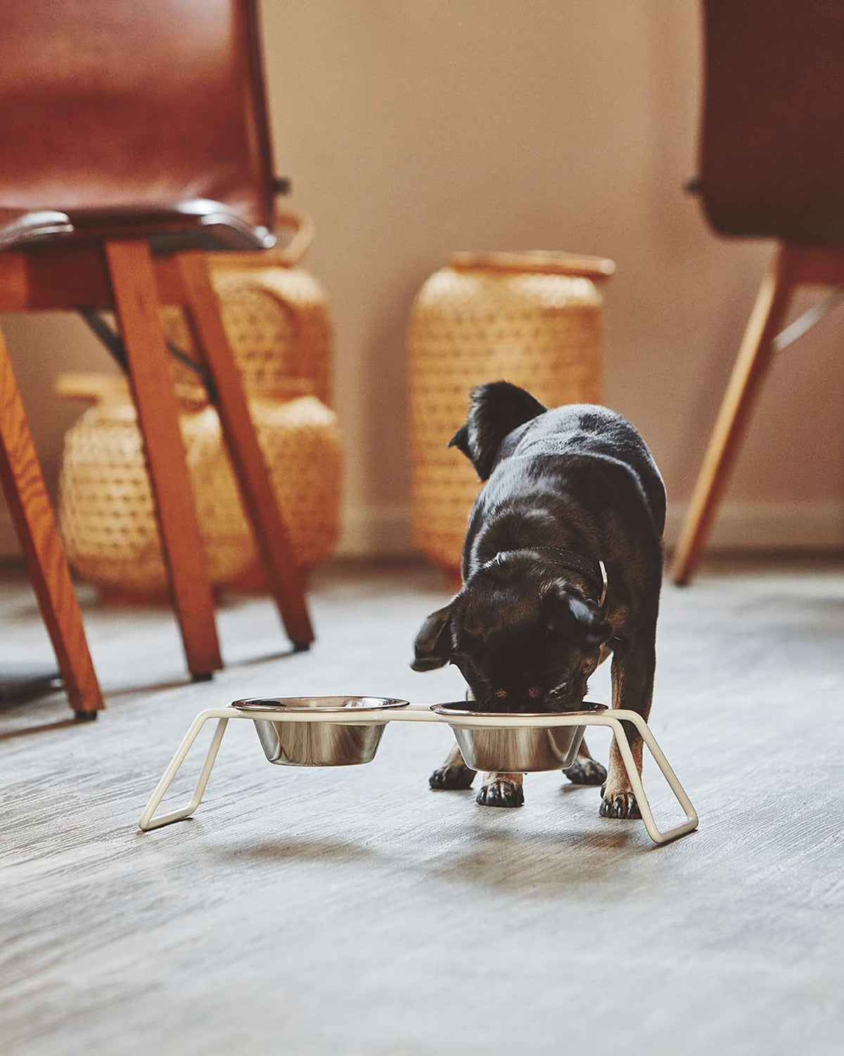 CENA FEEDER STATION | מעמד קערות לכלב
