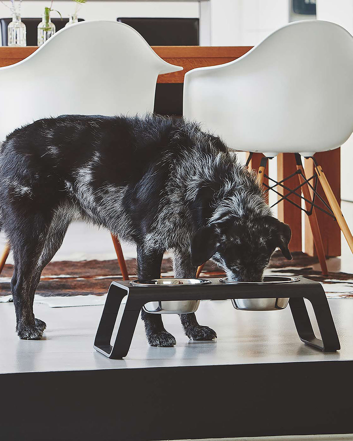 DESCO ALU  | מעמד קערות מוגבה לכלב