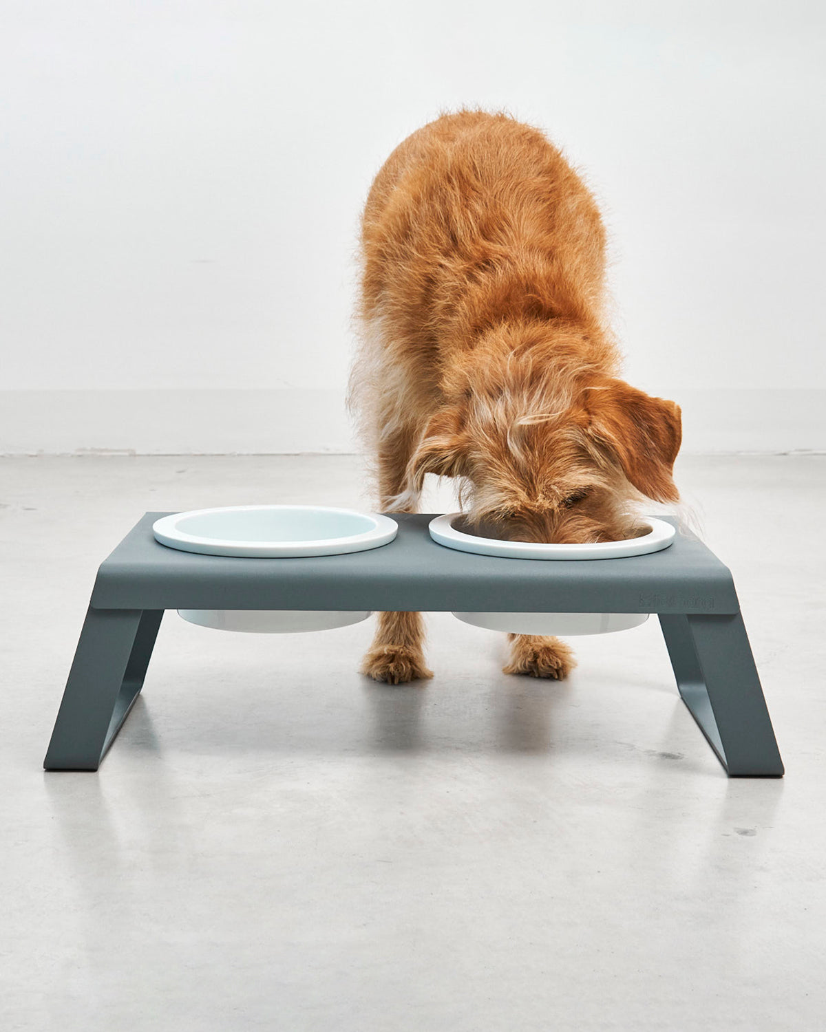 DESCO ALU PORCELAIN | מעמד קערות מוגבה לכלב